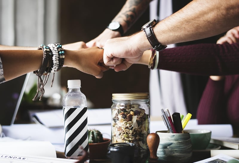 Mentorship Programs